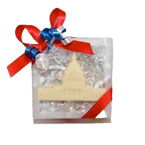 Capitol Building in Clear Lidded Box
