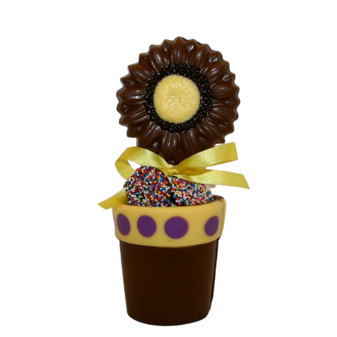 Sunflower in a Chocolate Planter Favor