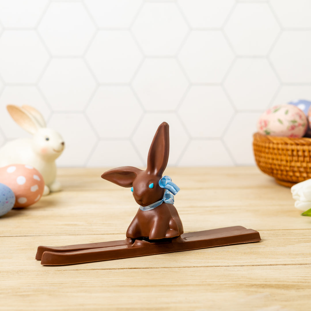 Skiing Bunny