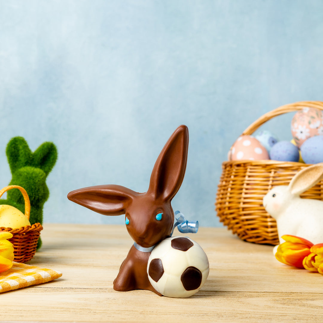 Soccer Bunny