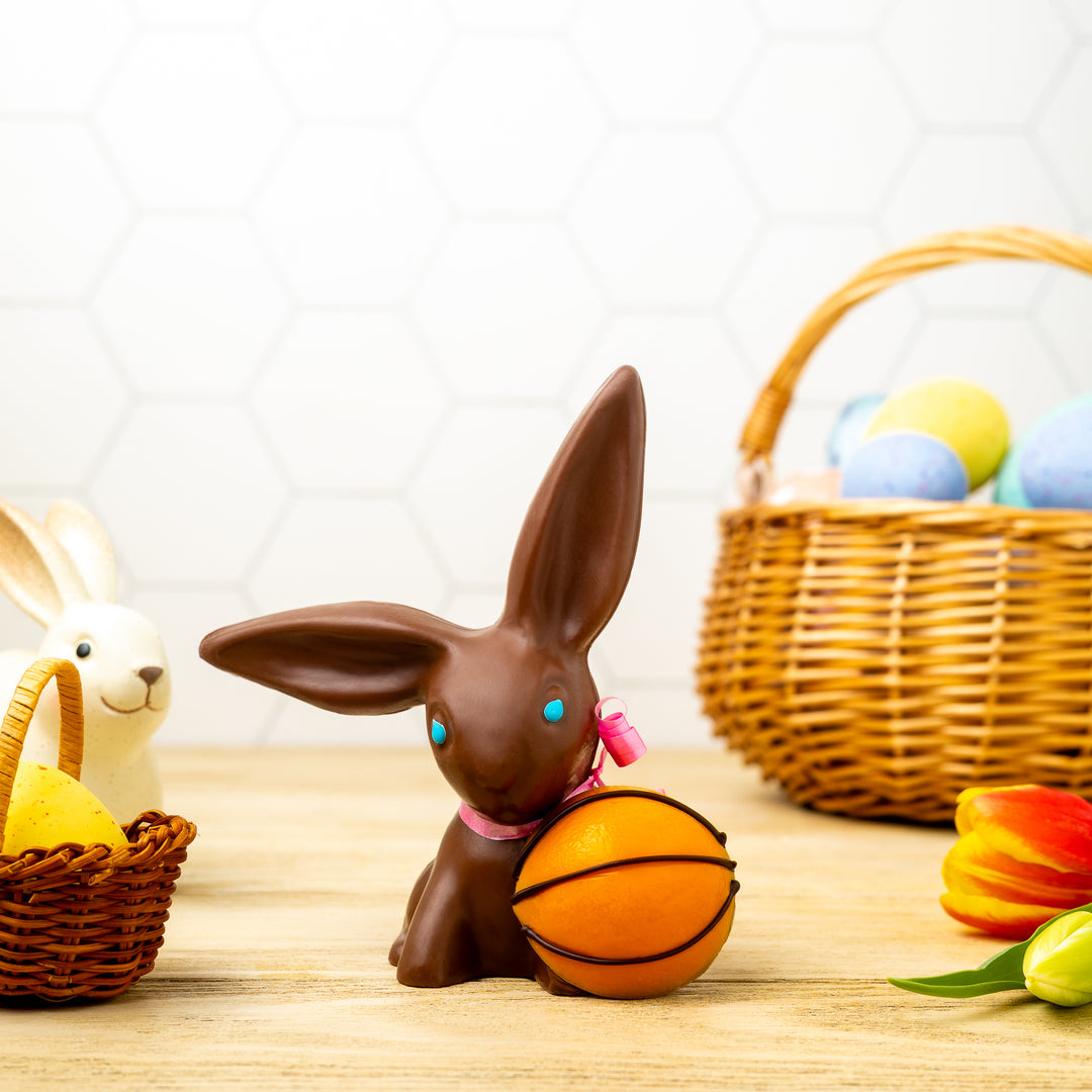 Basketball Bunny
