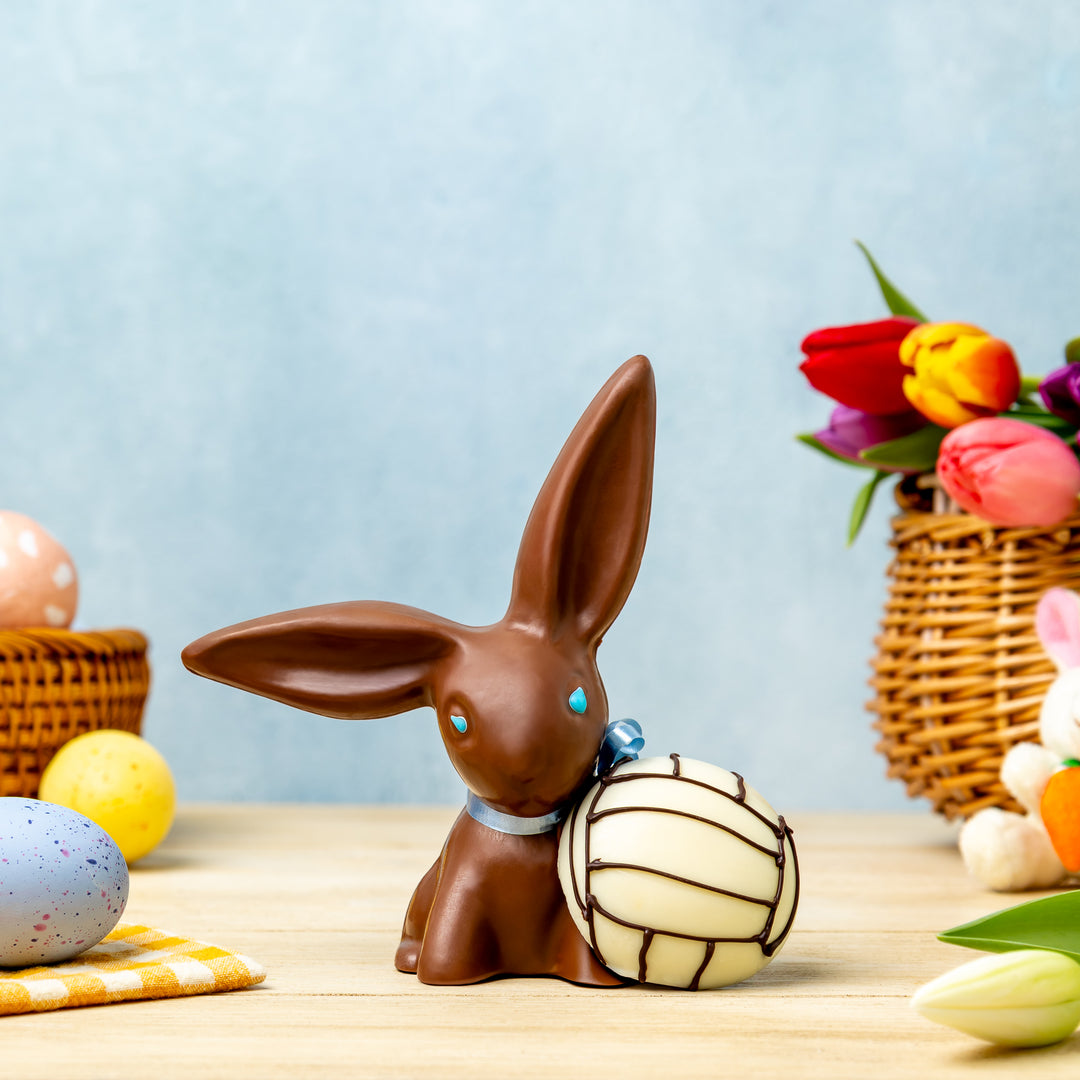 Volleyball Bunny
