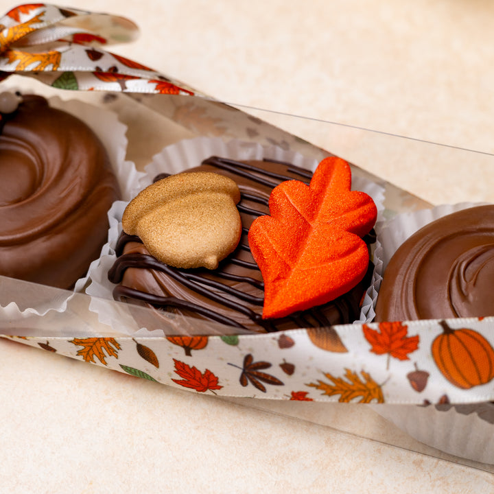 3-Piece Decorated Oreo Box - Fall