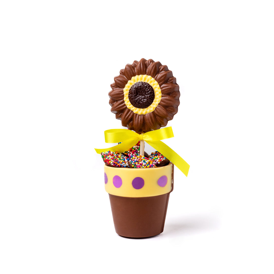 Sunflower Pot