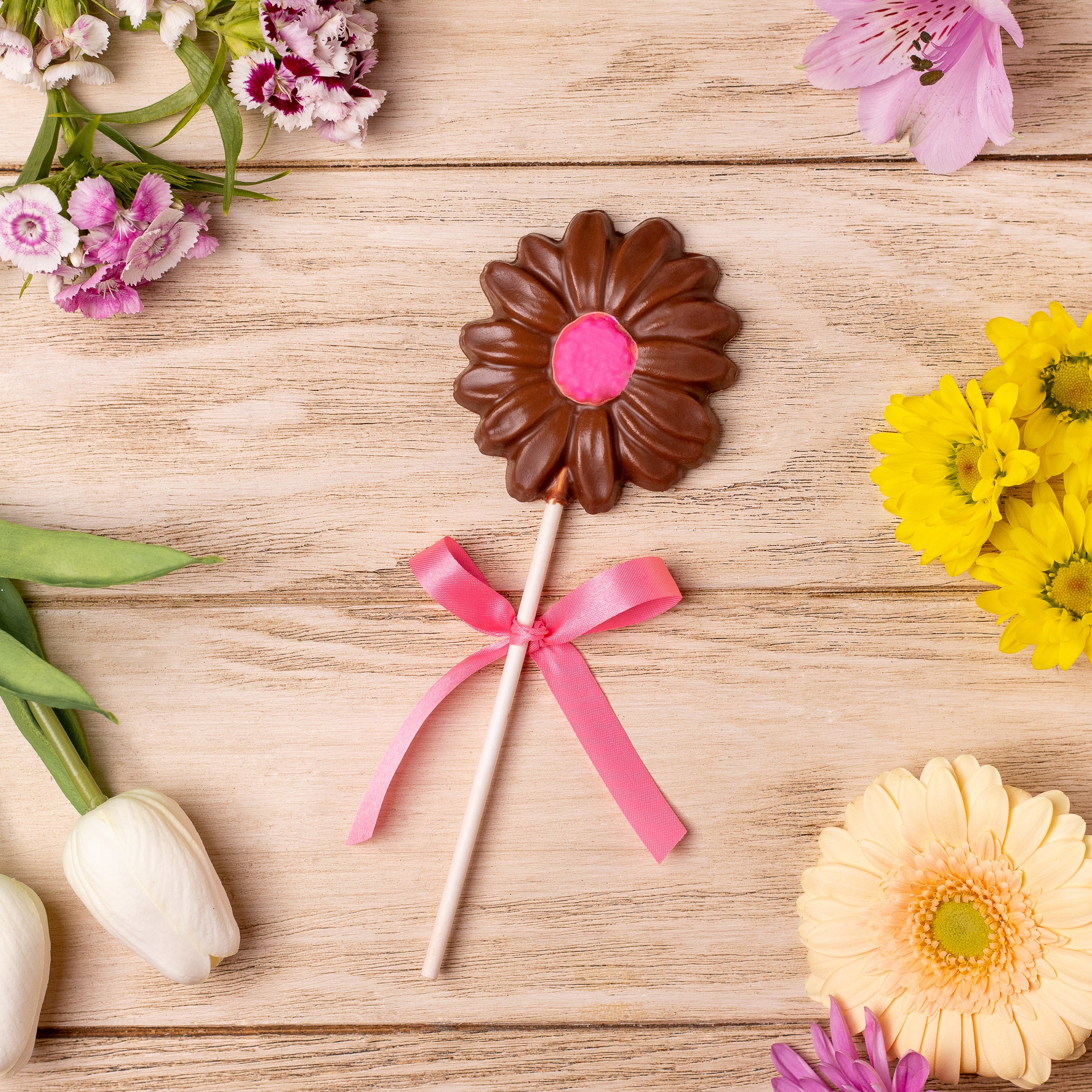 Daisy Lolly – Enjou Chocolat