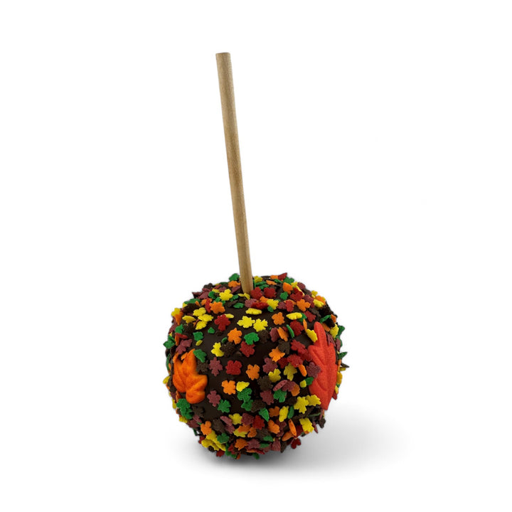 Fall Chocolate Caramel Apple