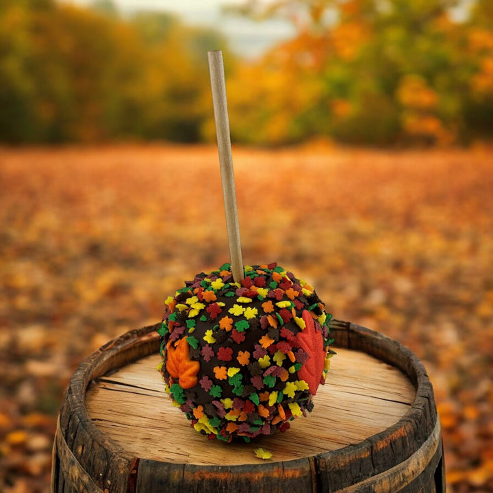 Fall Chocolate Caramel Apple