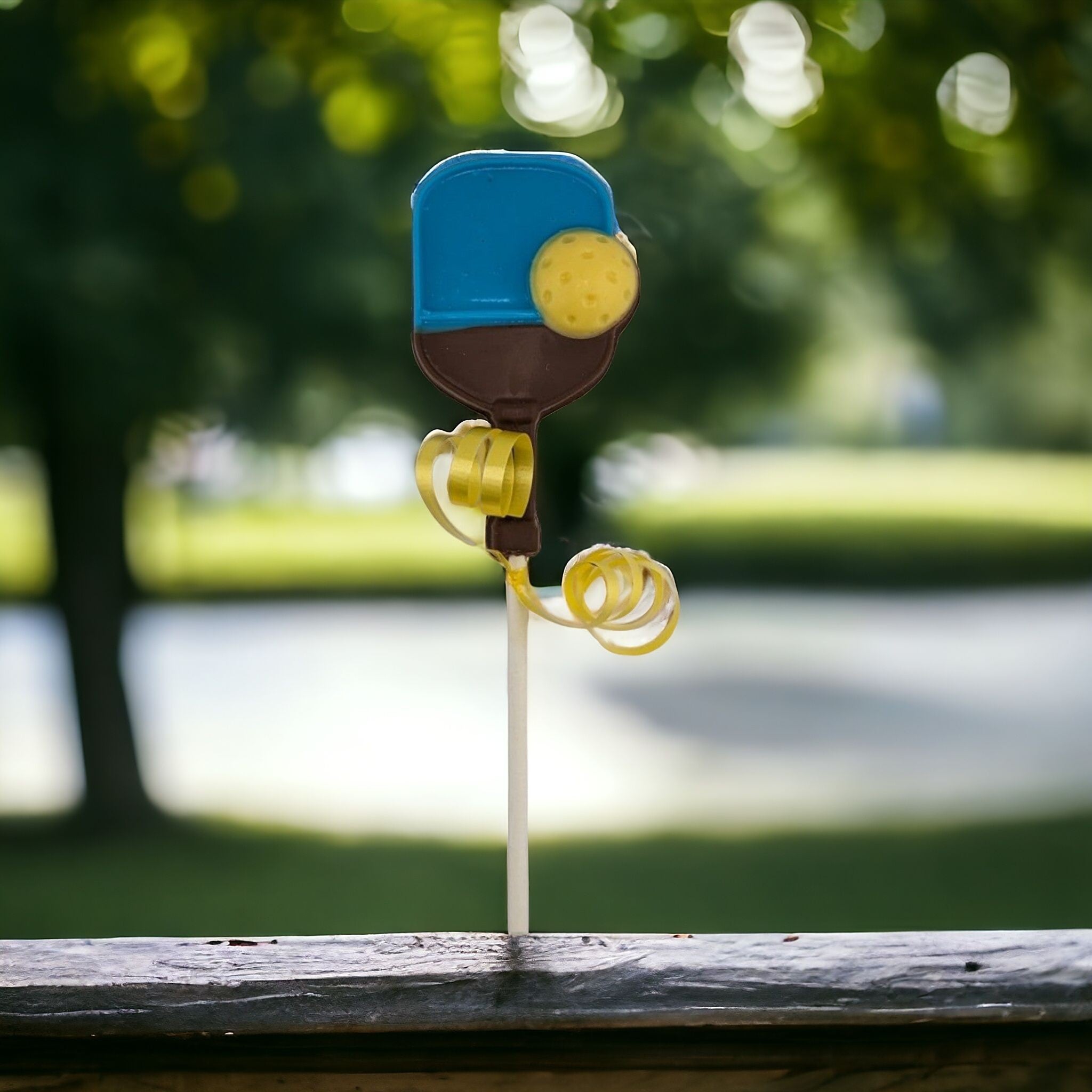 Pickball2-Photoroom.jpg?v=