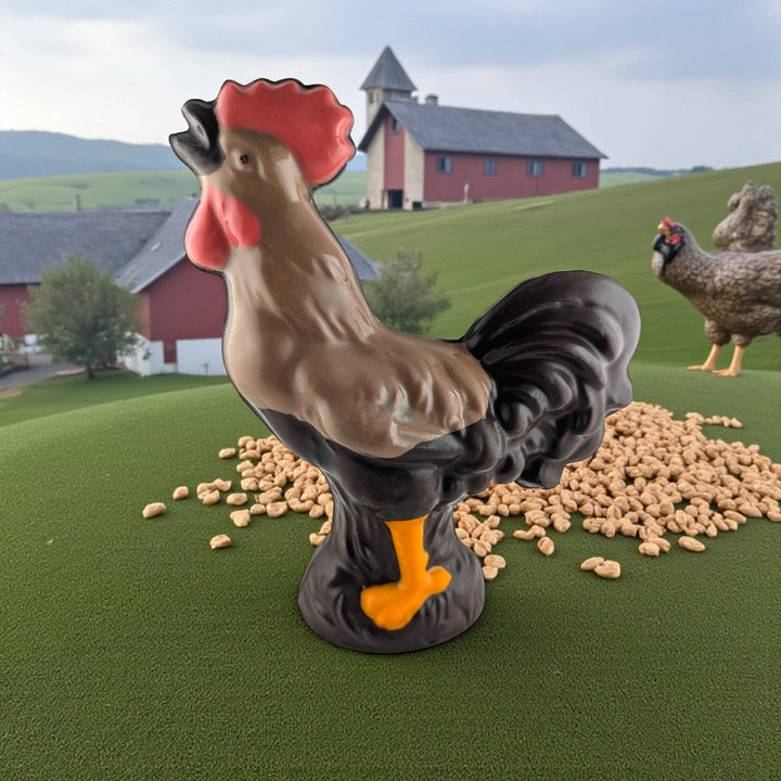 Rooster