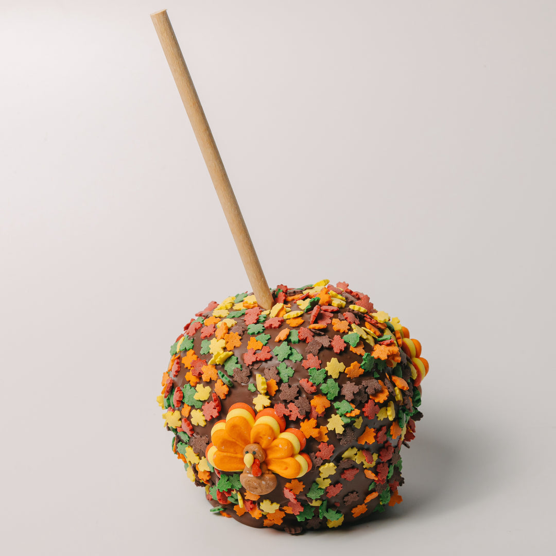 Thanksgiving Chocolate Caramel Apple
