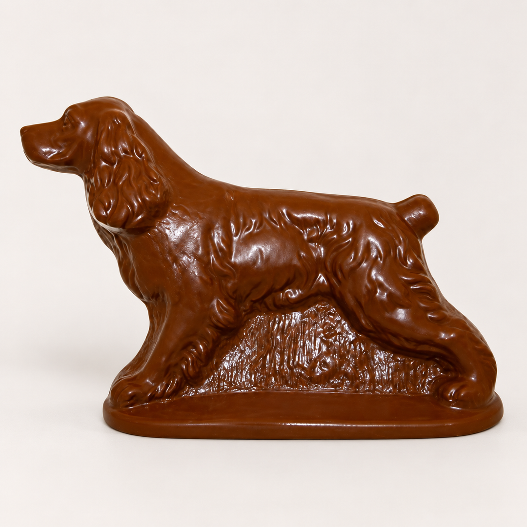 Cocker Spaniel chocolate product