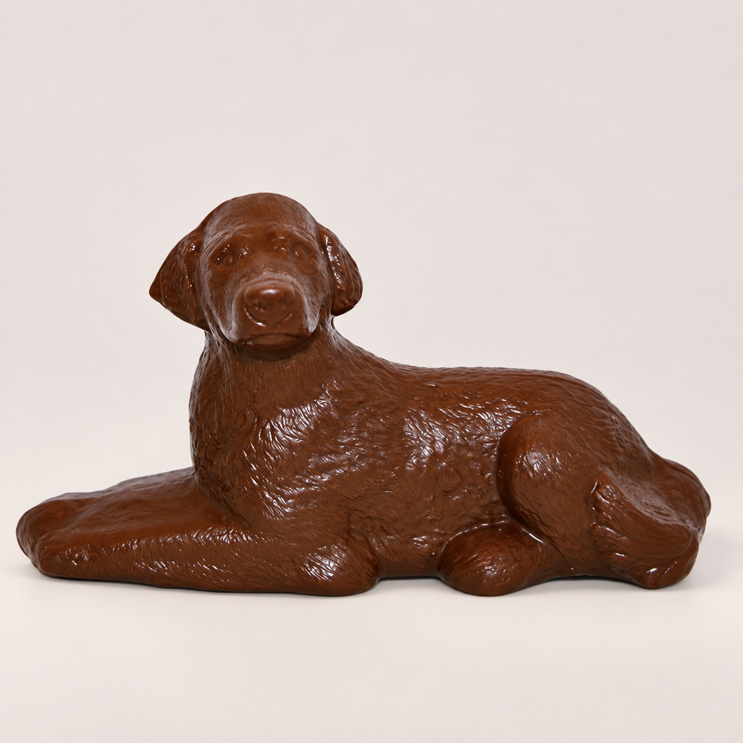 Dog chocolate product