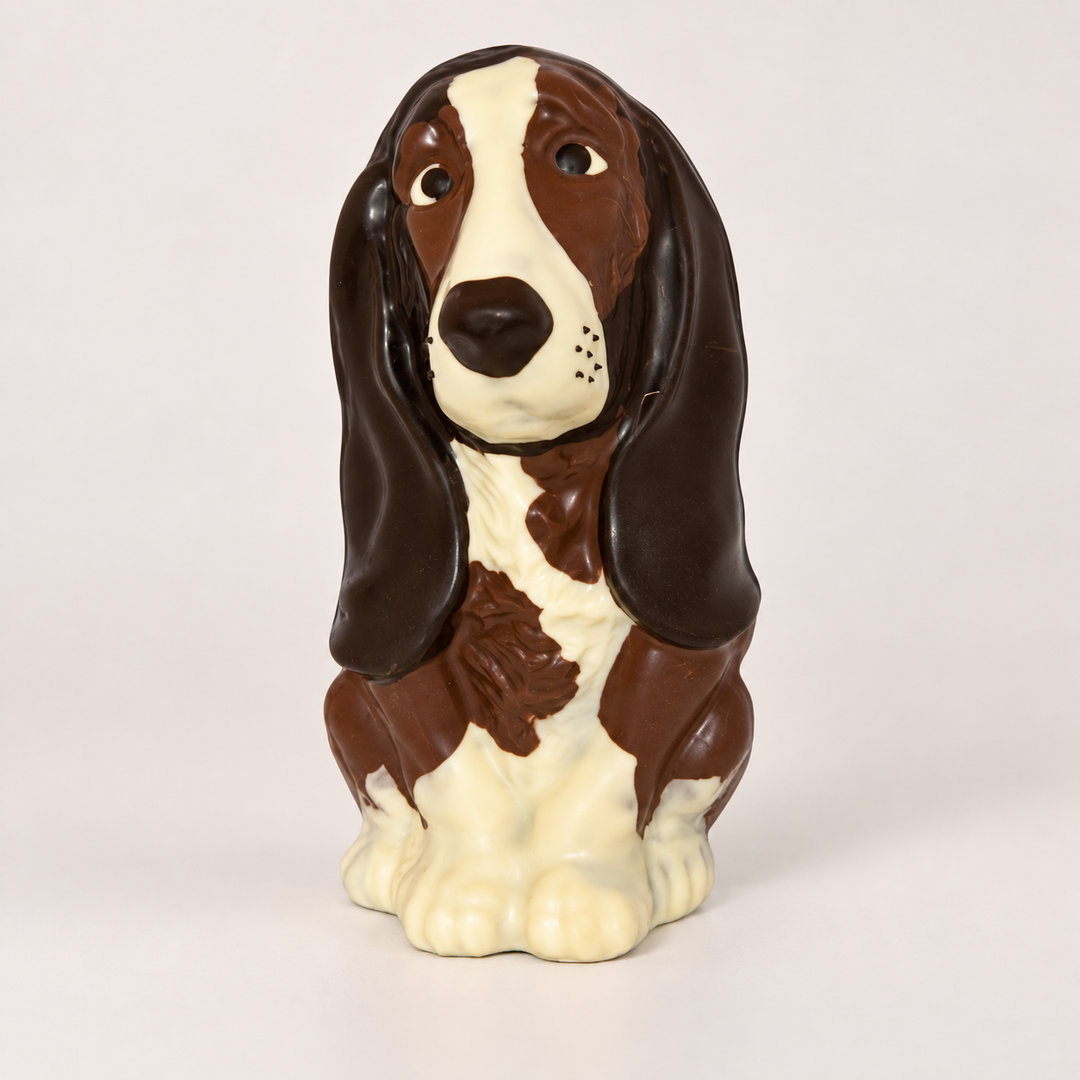 Basset Hound