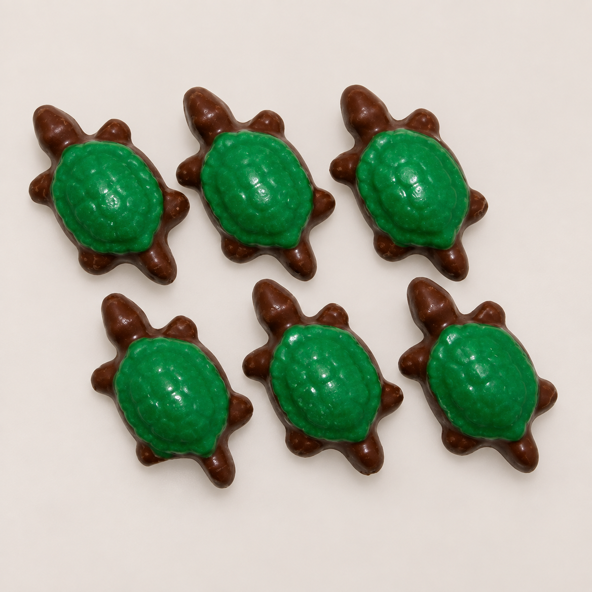Turtle Hatchlings