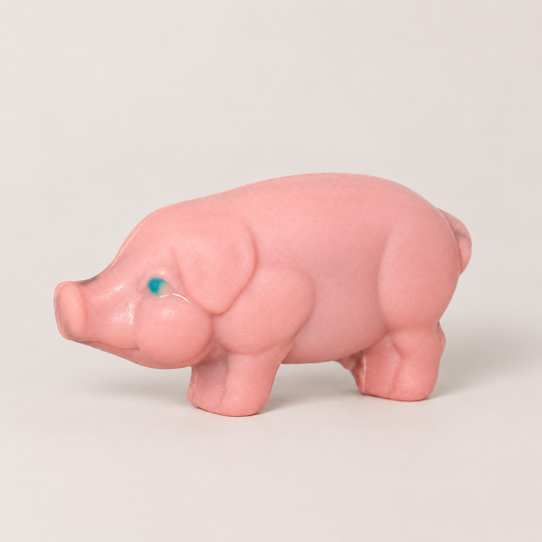 Pig