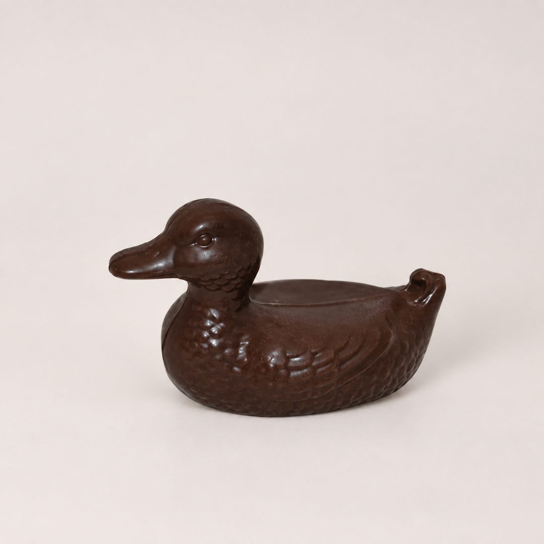 Mallard Duck