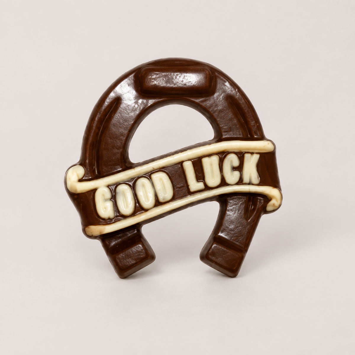 Good Luck Horseshoe