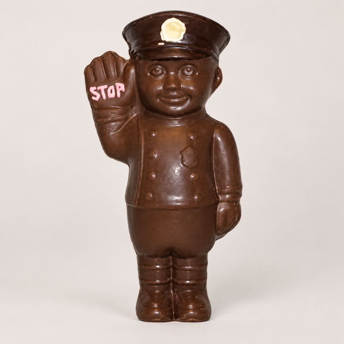 Traffic Officer — photo 1