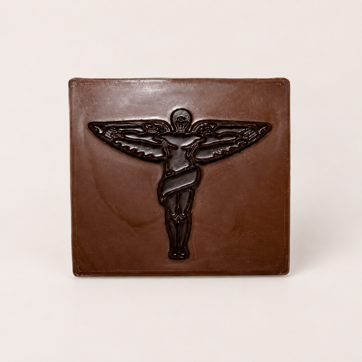 Chiropractic Plaque — photo 1