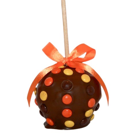 Reese's Pieces Chocolate Covered Caramel Apple