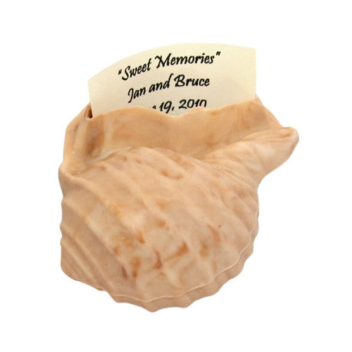 Sweet Memories Conch Shell