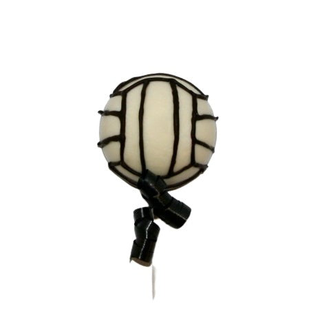 Volleyball Lolly
